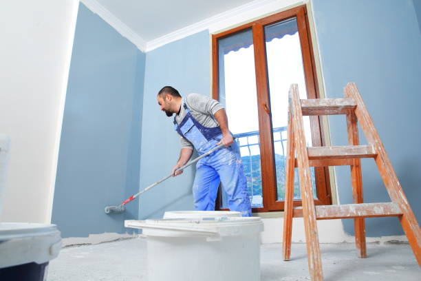 Best Drywall Removal and Disposal  in Mount Olive, IL